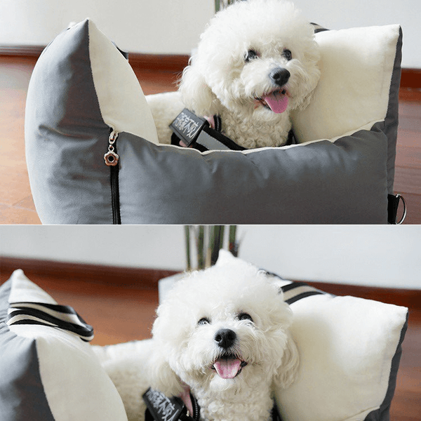 Luxuriöser Hundeplatz - Sicherheit und Komfort für Ihren Hund
